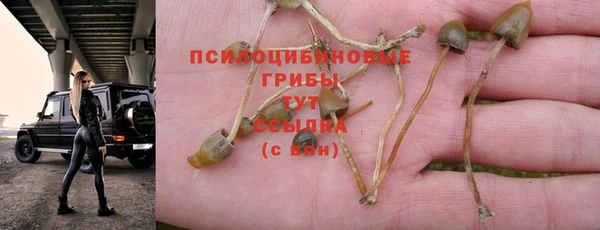 спиды Аркадак
