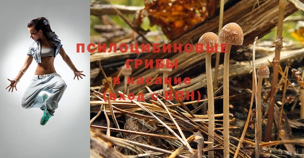 спиды Аркадак