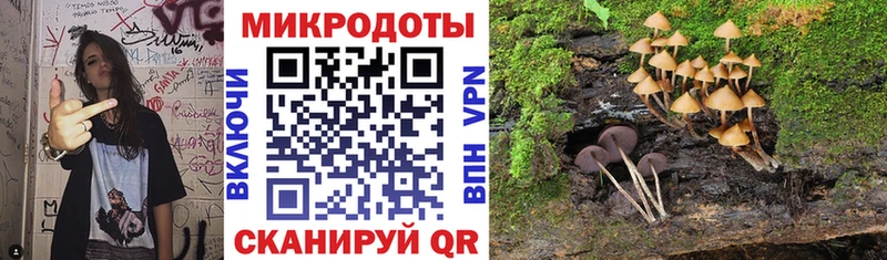 Псилоцибиновые грибы Cubensis  Солигалич 
